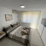 панорама рози *