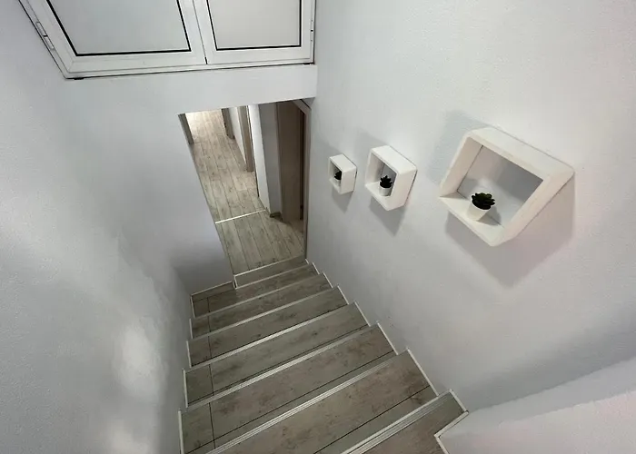 панорама рози Apartament *